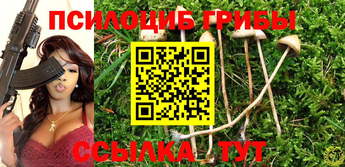 Галлюциногенные грибы ЛСД Сызрань