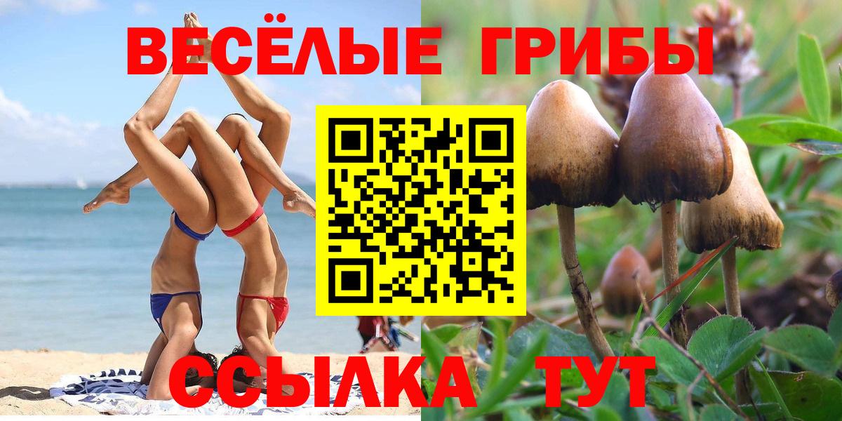 Галлюциногенные грибы ЛСД  Вход с VPN  Сызрань 