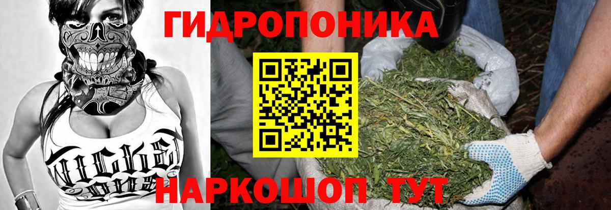 Бошки марихуана Amnesia  Марихуана SATIVA & INDICA  Сызрань  Конопля VHQ  Вход с VPN  Бошки Шишки ГИДРОПОН 